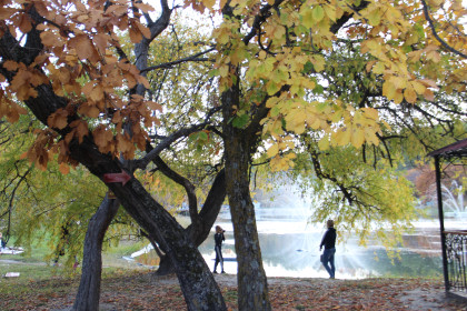 Фотосессиям жить!