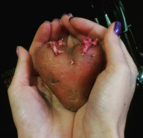 Любовь она такая, встретишь её, когда совсем не ждёшь!