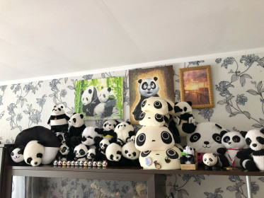 Коллекция панд. Благовещенск.