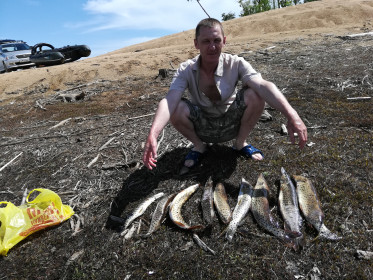 9 кг щуки с Бурейского водохранилища