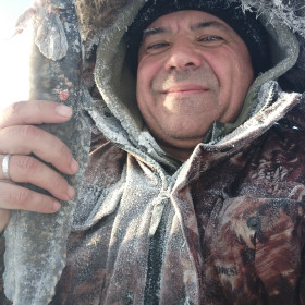 Налим Бурейский