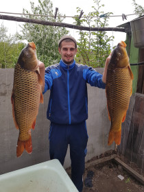 Сазан, общий вес 14кг, Зея