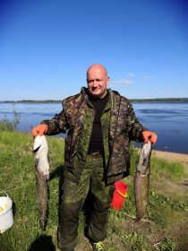 Сомы, длина 75 см, вес 3 кг каждый, выловлены на реке Зея