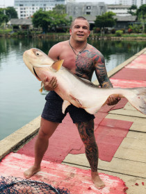 Красавчик на 40