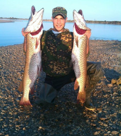 Щучки, вес 9,1 и 7,1 кг, с.Усть-Ивановка