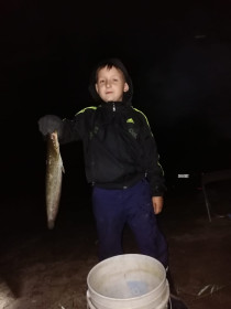 Сомик ))) р.Зея, Благовещенск