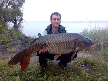 Сазан, Вес 13,280 кг, Владимировское озеро