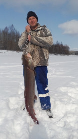 Таймень 20 кг.