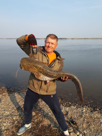 Сом 11 кг 200 гр пойман на фидерное удилище на реке Амур