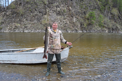 Таймень 7,5 кг