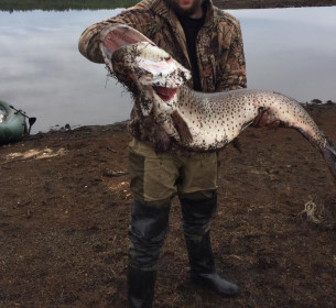 На Зейском водохранилище