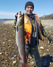 Таймень 6 кг