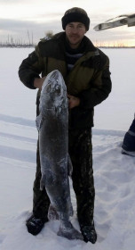 Таймень: 26кг, верховье р.Зея (Зейский район)