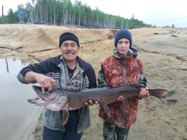 Щука, Зейское водохранилище