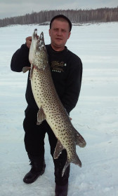 Щука вес 14 кг 200 гр