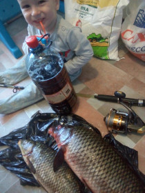 Сазан из Амура, 10 кг