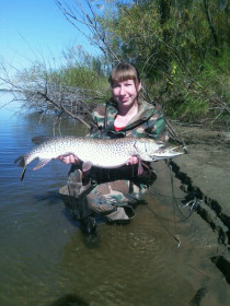 Щука  трофейная, 8,3 кг.