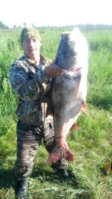 Толстолоб - 27 кг. 300 гр.