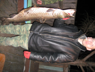 Щука 10кг 200г