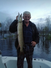 Щучка весом 3,9 кг