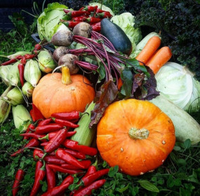 "Палитра осени" (Моховая падь)