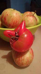 Чигиринский урожай