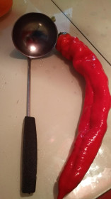 Чигиринский урожай