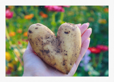 С Амурских полей с любовью