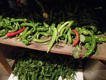 "Острый перцик" из с. СЫЧЕВКА