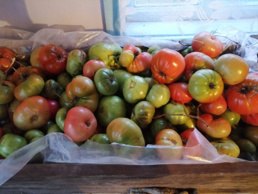 "Сычевские томаты"