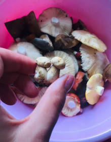 СЛАДКАЯ БУРЕЙСКАЯ ПАРОЧКА