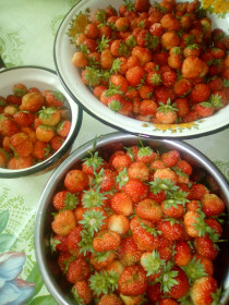 Клубничка ( пгт Ушумун)