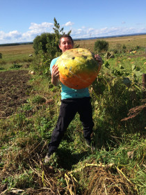 Гигантская тыква из Березовки.
