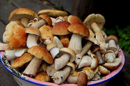 «Тихая охота» удалась!