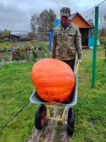 Гигантская тыква из п. Октябрьский