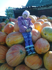 Заготовки для коровки