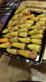 День год кормит! Благовещенск.