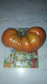 Синьор Помидор из Свободного