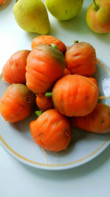 Верхнезейская морковь