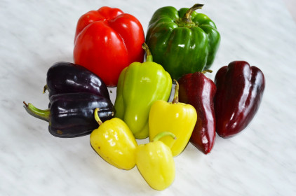 Новобурейские радужные перцы.