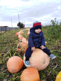 Тыквенный паровоз с. Сычевка