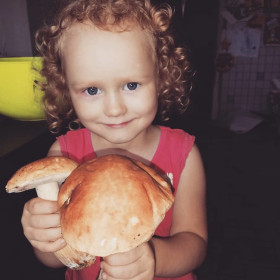 Гриб- великан