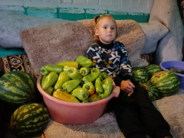 Урожай из с. Сычевка.