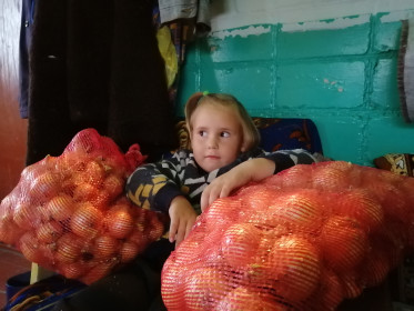 Сычевской лук.