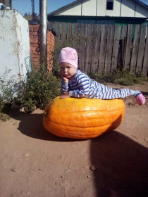 Золушка на тыкве! с. Великокнязевка