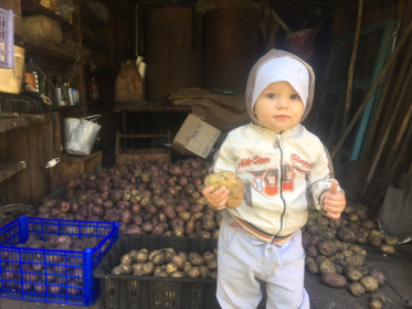 В деревне на картошке!