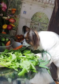 И кто же ее сюда положил???