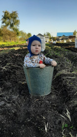 Ведёрко с "большой" картошкой из бл