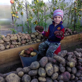 Урожай 2019 в п. Экимчан