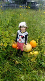 Сбор урожая 2019